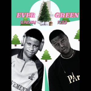 Read more about the article Evergreen Feat. Fizkid – Slowsnow [Mp3 Download]